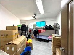 Hougang Avenue 1 (D19), Shop House #619974061